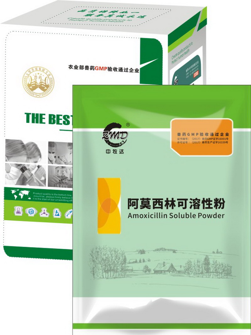 阿莫西林.jpg